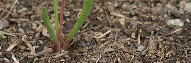 FreshRecycling banner