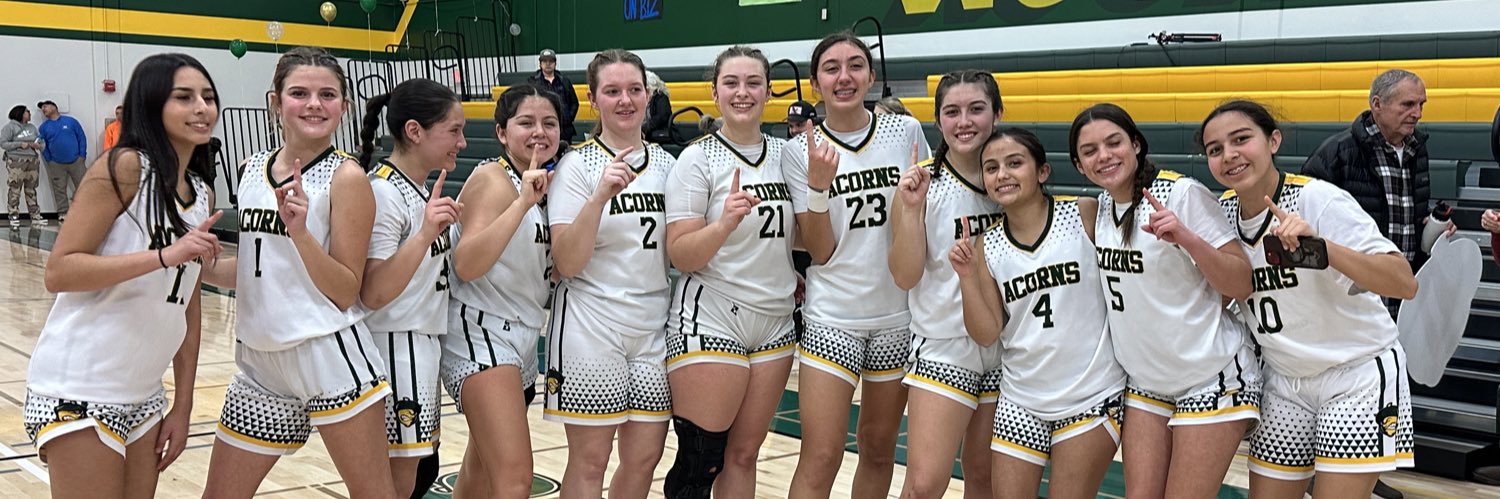 LadyAcornsBBall's profile banner image