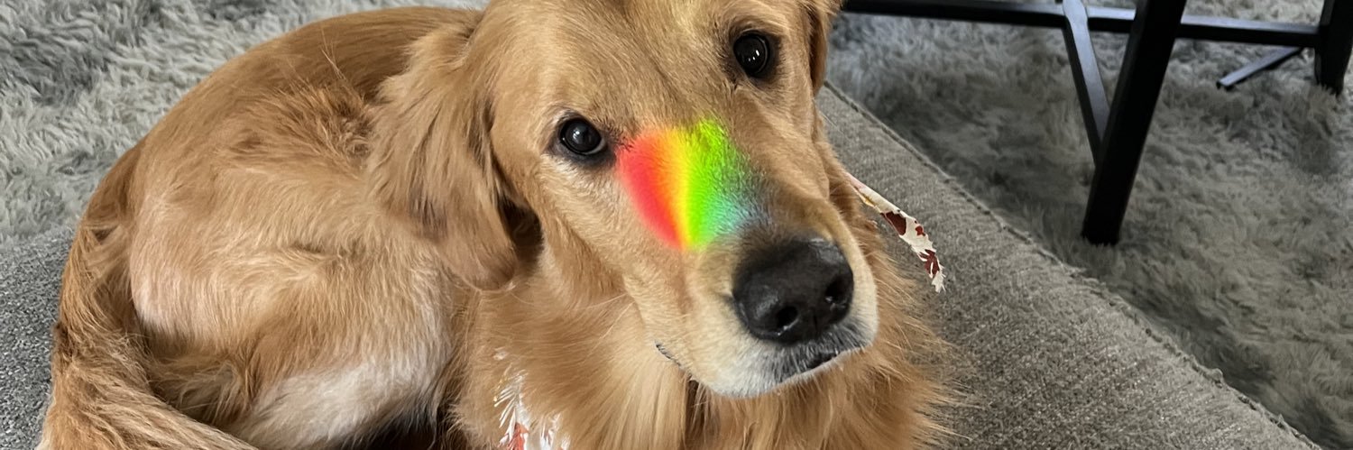 madisoncaldweII's profile banner image