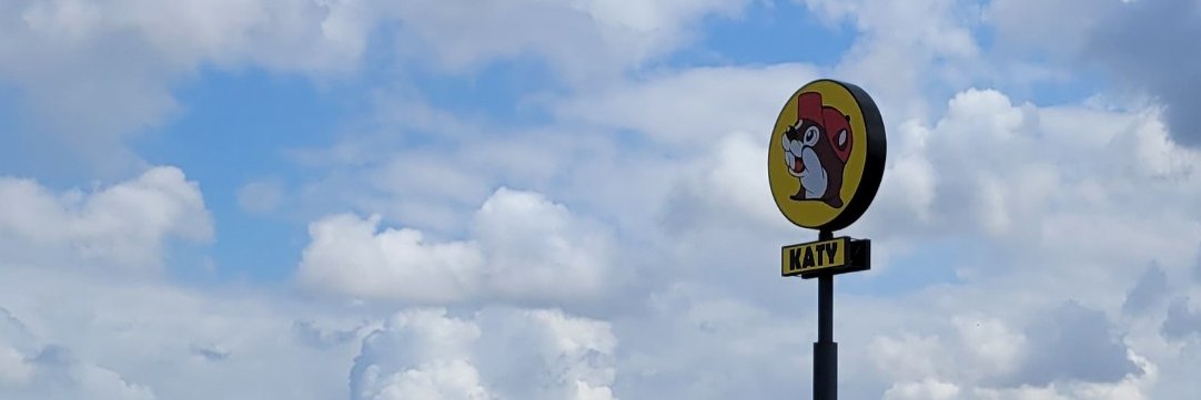 Katy The Savage banner