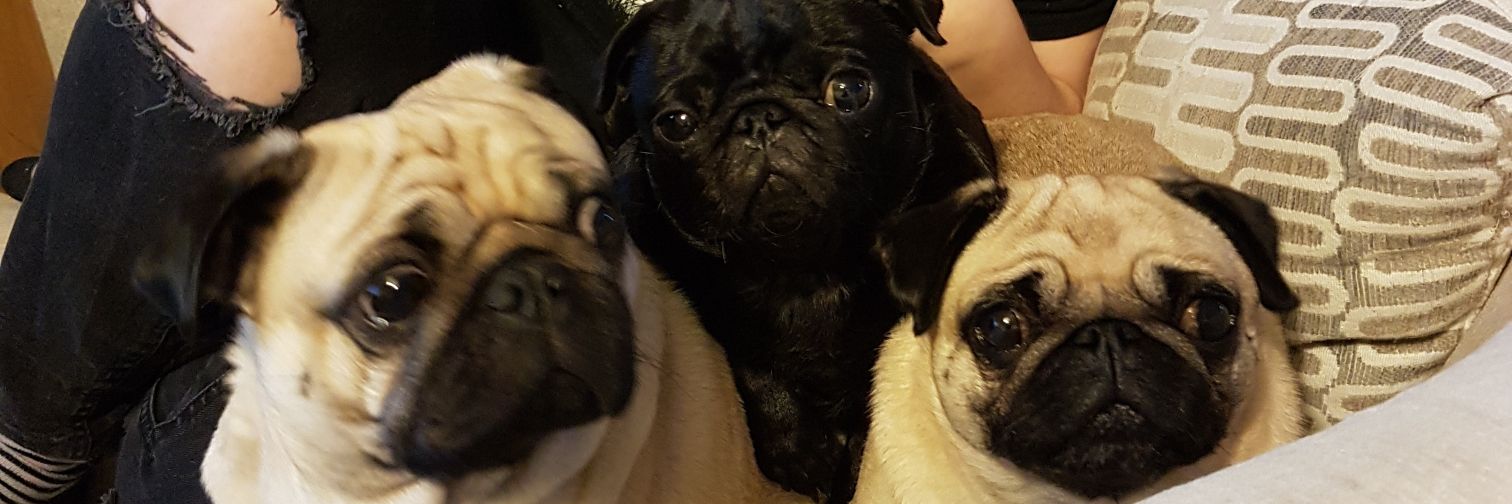 Minted1985's profile banner image
