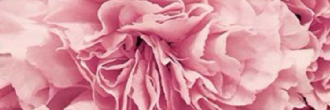 puertti95's profile banner image