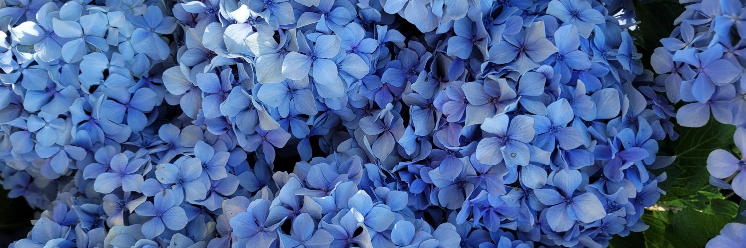 Autumn_Martin_'s profile banner image
