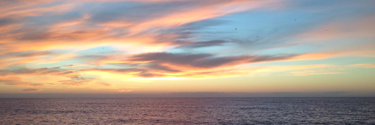 FTKaila's profile banner image