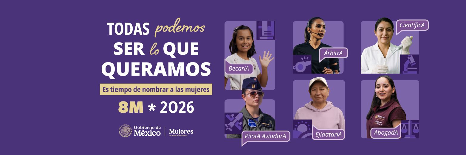 CONAPO - Consejo Nacional de Población banner