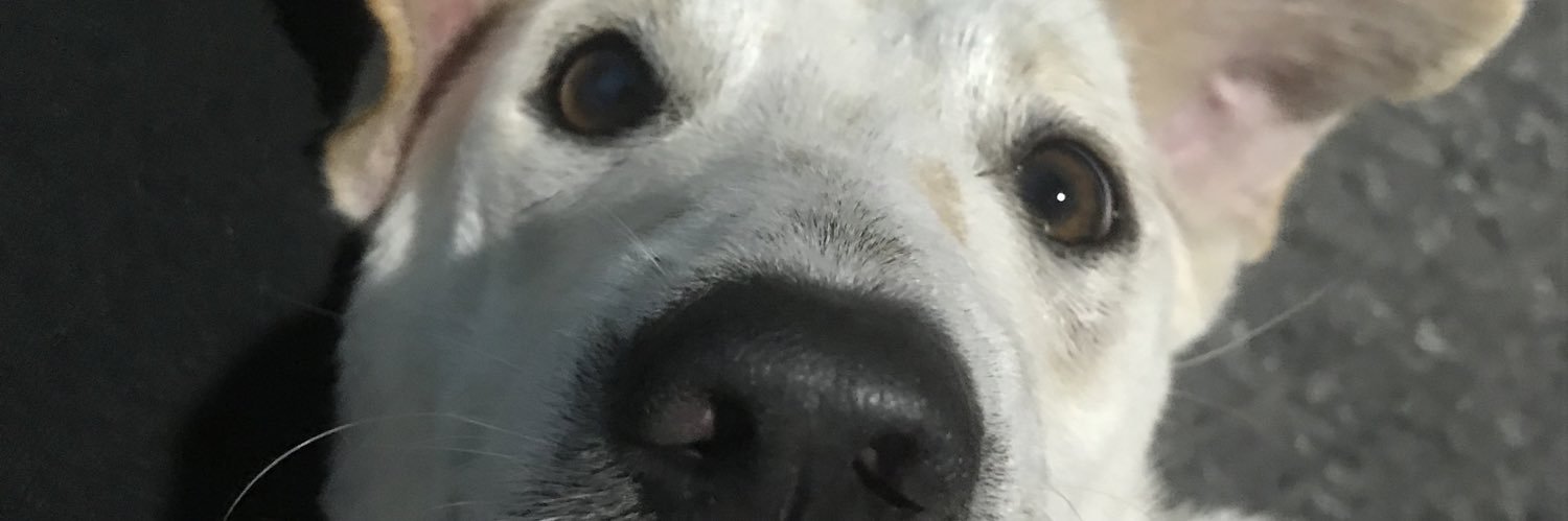 kshmrdynn's profile banner image