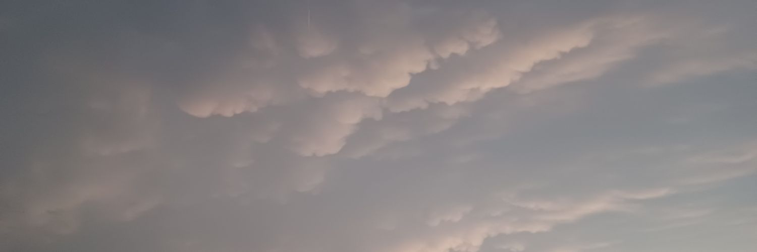 ToastyHawks's profile banner image