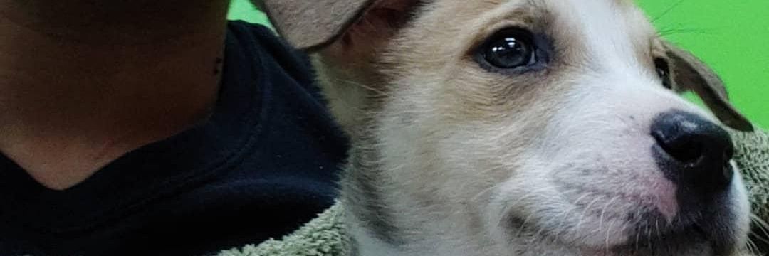 esprite666's profile banner image