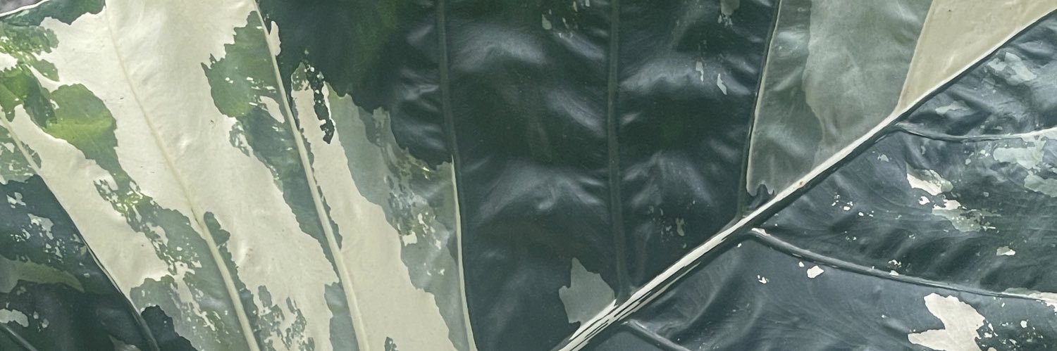 AllenJoshuaaa's profile banner image