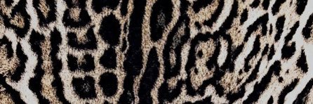 StylexJai's profile banner image