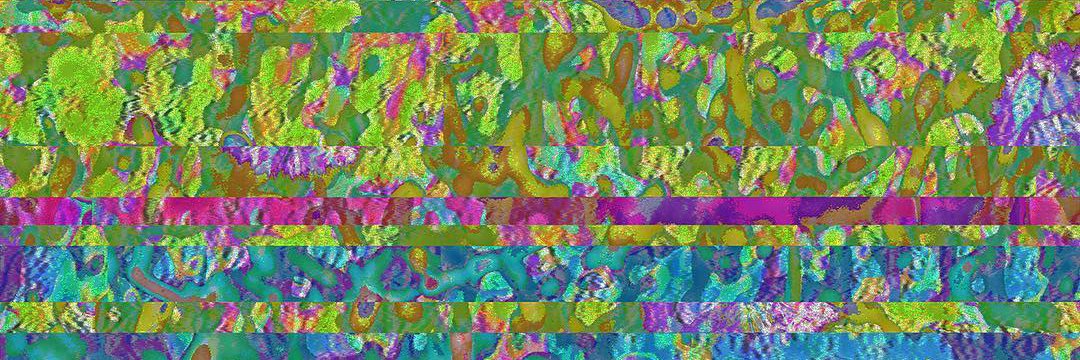 squirrel8296's profile banner image