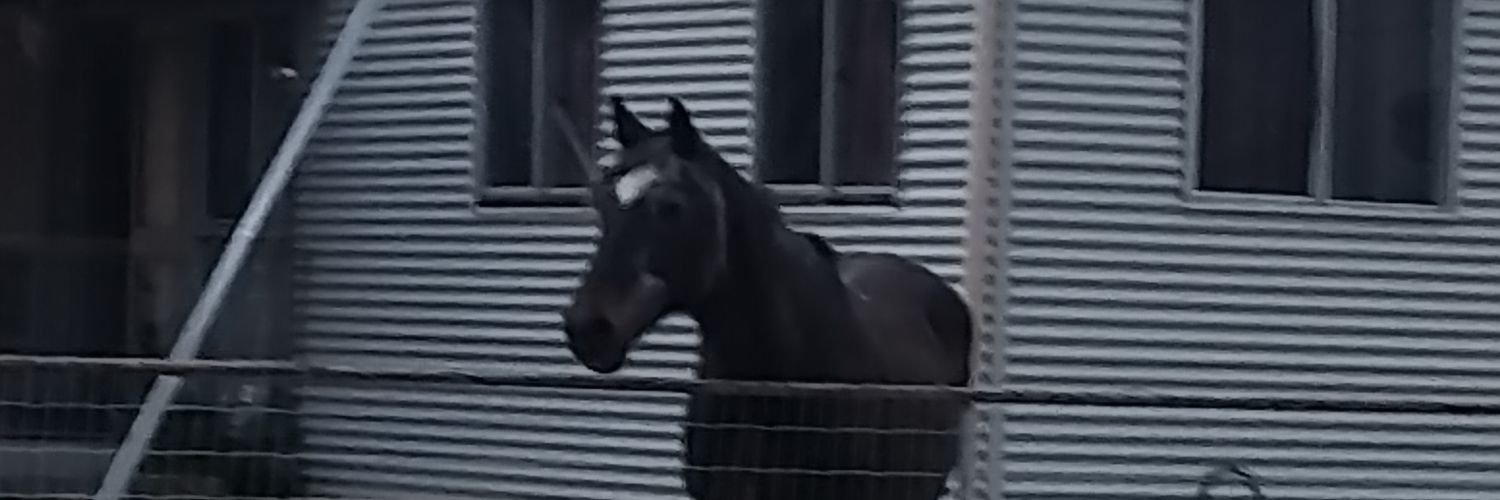 Fiesty_Filly's profile banner image