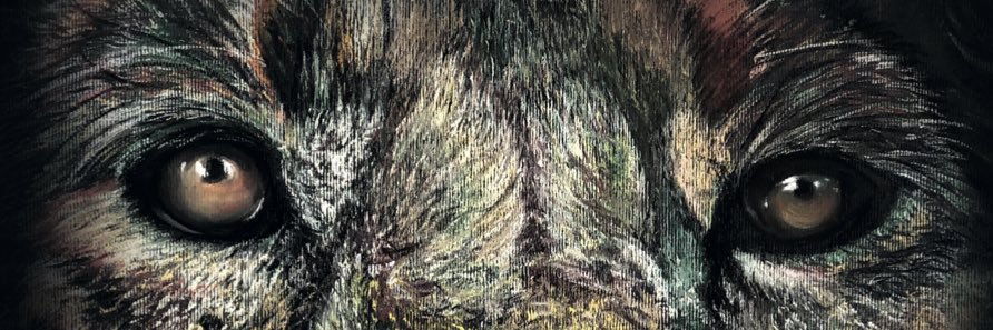 gjak1978's profile banner image