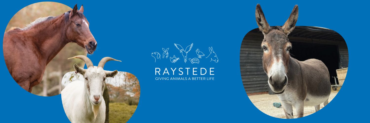 Raystede banner