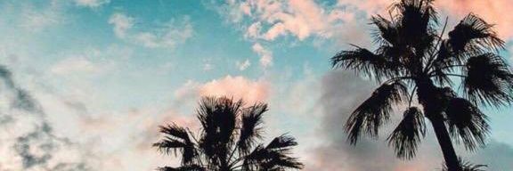 zelalsekman's profile banner image