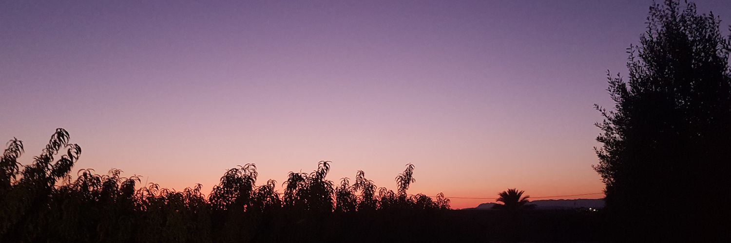 Gema Sánchez banner