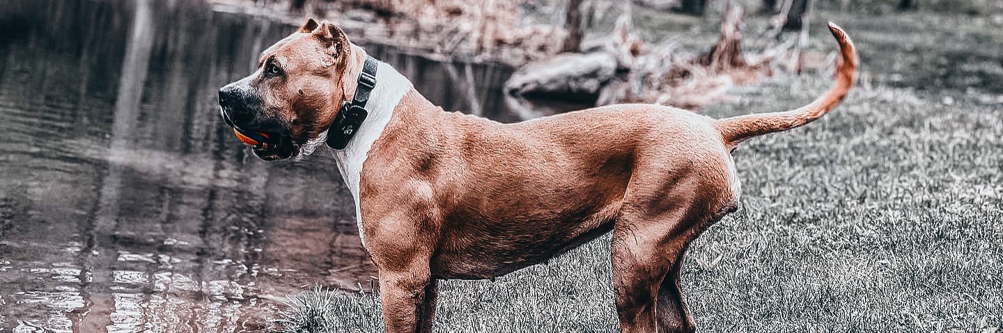 DelaneyBeers's profile banner image