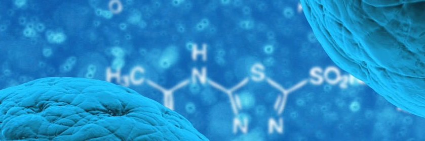 Cognition Therapeutics banner