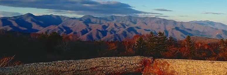 yapopo3's profile banner image