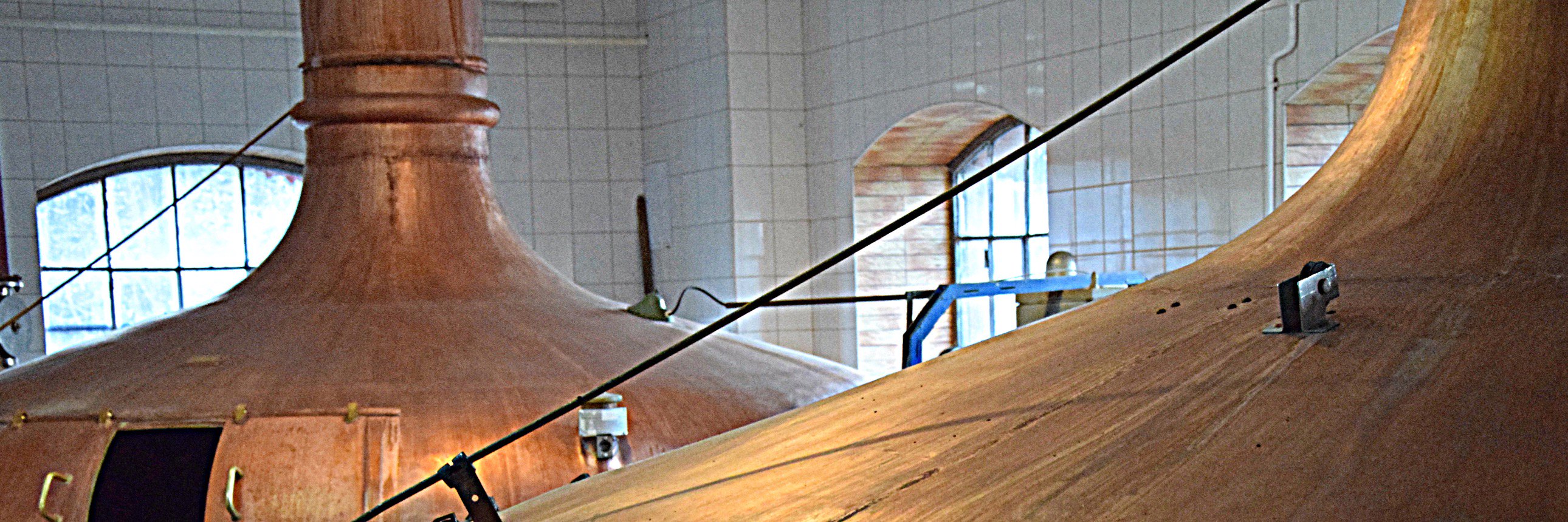 pilsweizerpl's profile banner image