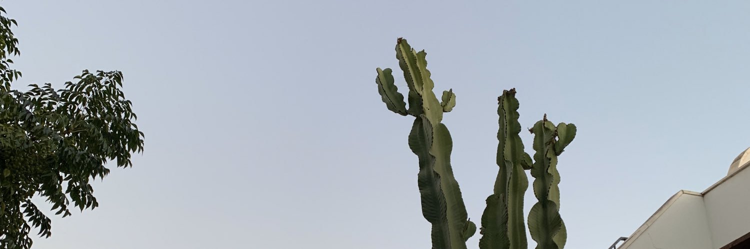 Mariia_AlGar's profile banner image