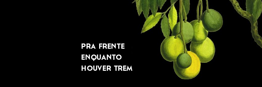 RevistaCaja's profile banner image