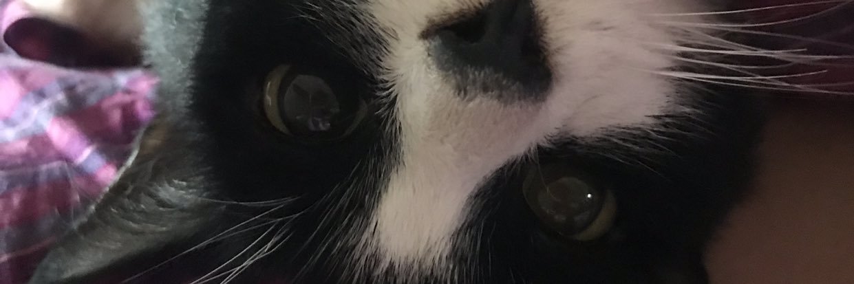 jessicamarthell's profile banner image