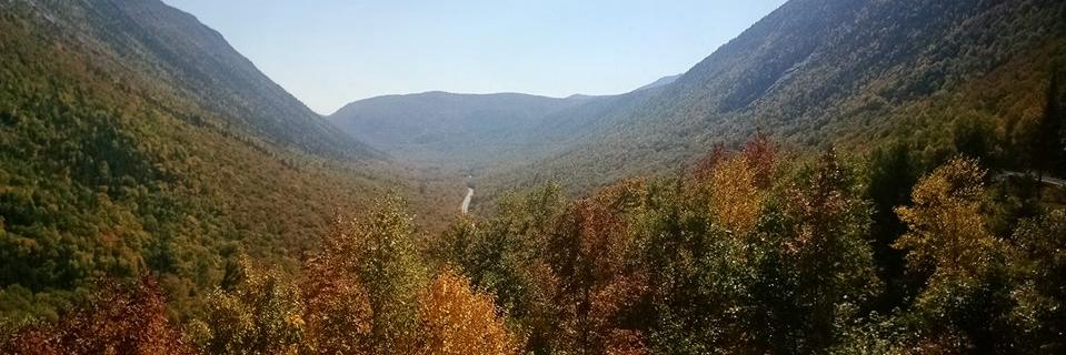 april edwards banner