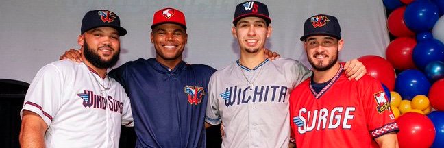 Lou Schwechheimer banner