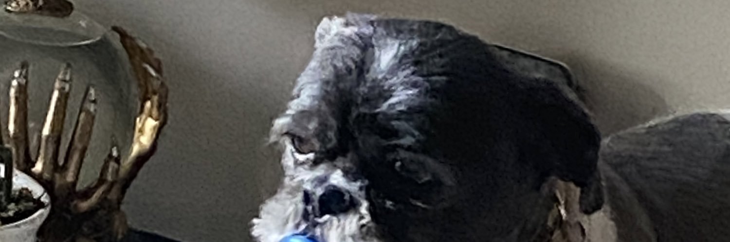 LauraMartinson's profile banner image