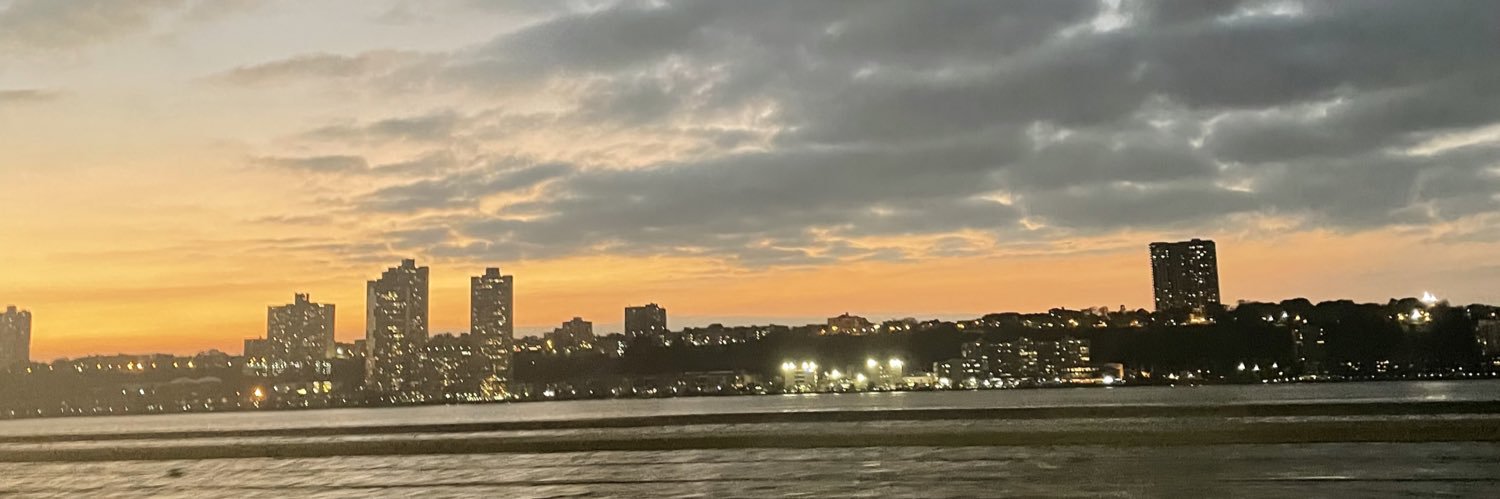 ally_cat95's profile banner image