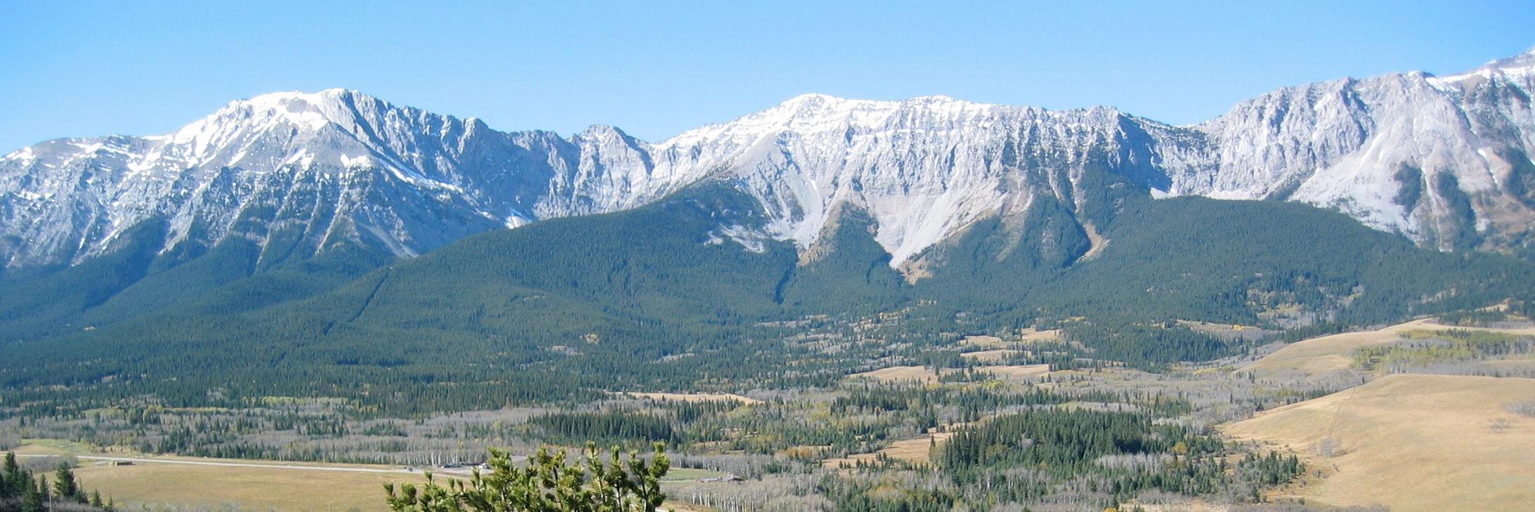 Rainer Knopff banner