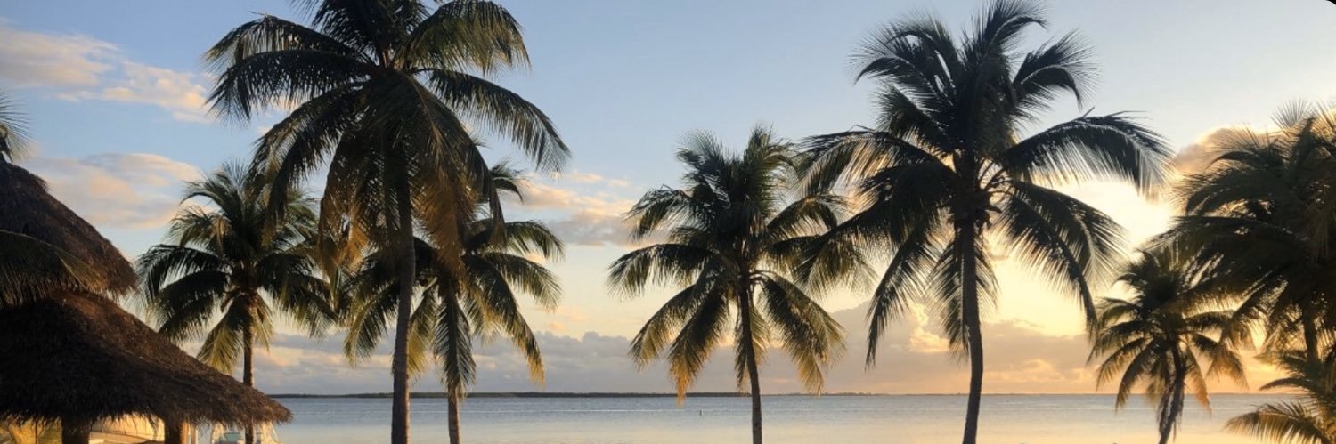 tomweaver69's profile banner image