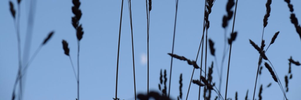emmieeruth's profile banner image