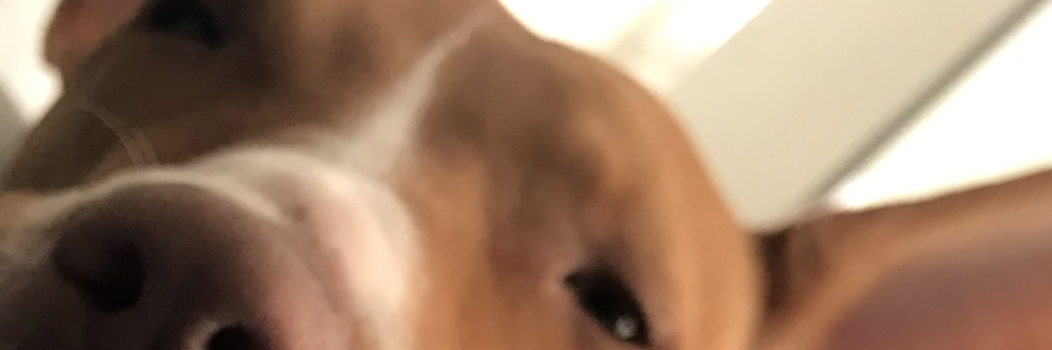 nichelopezc's profile banner image