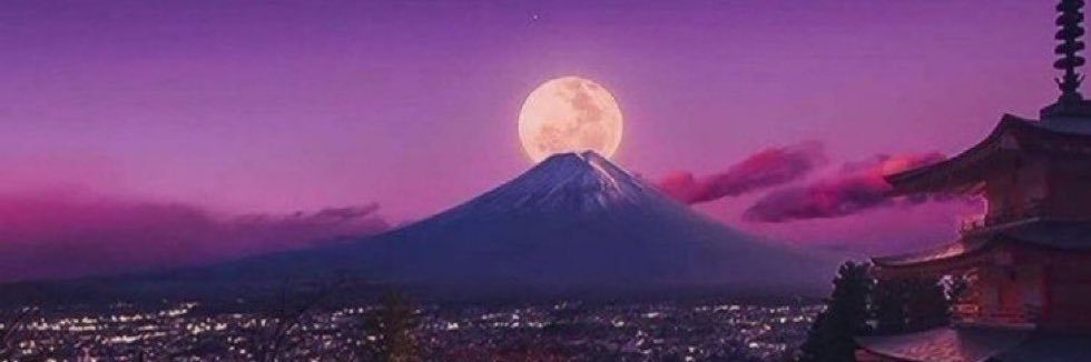 Chicken_Shxt's profile banner image