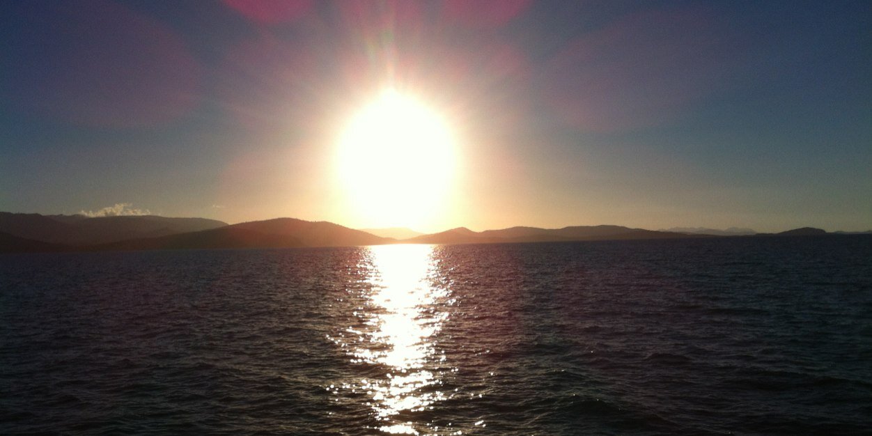 Megan Bradshaw banner