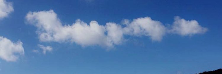 alisonbergerr's profile banner image