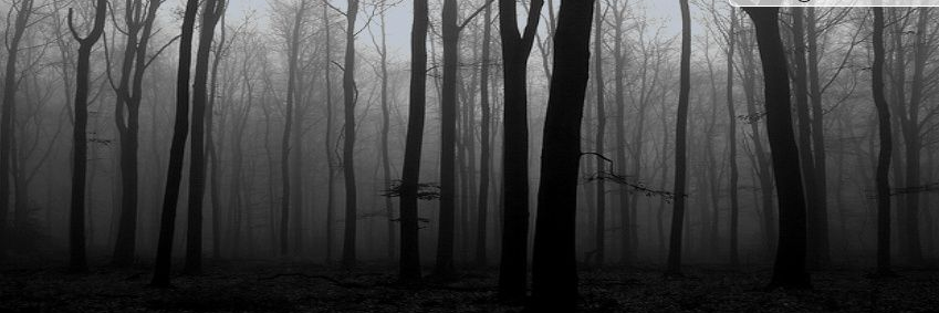 VinceBySub's profile banner image