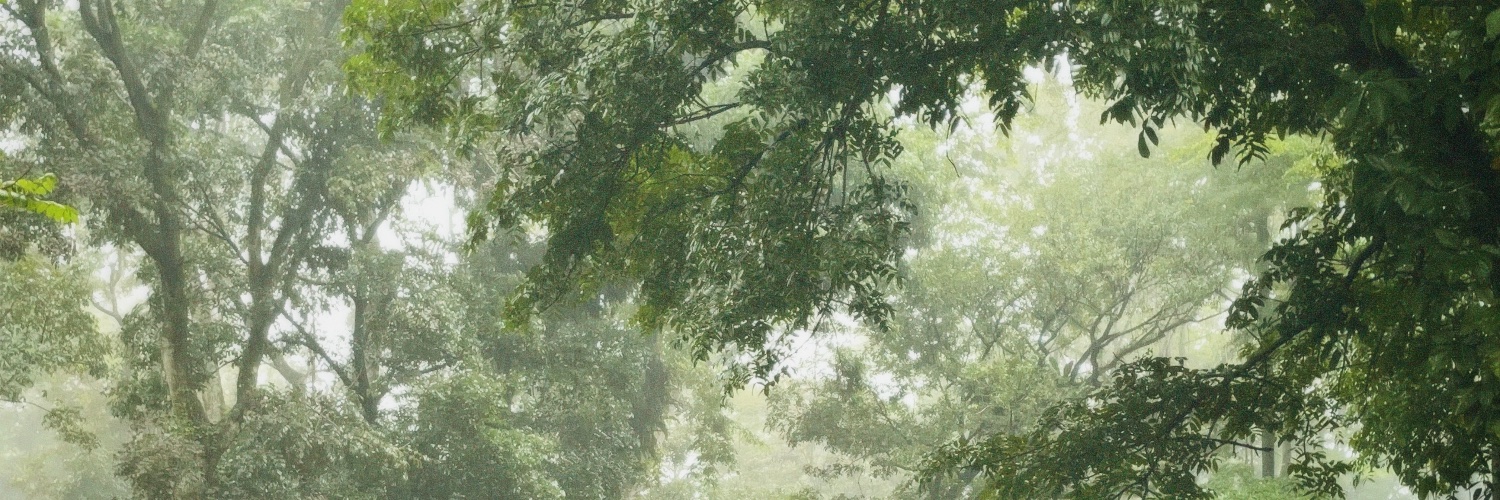 lyralacra's profile banner image