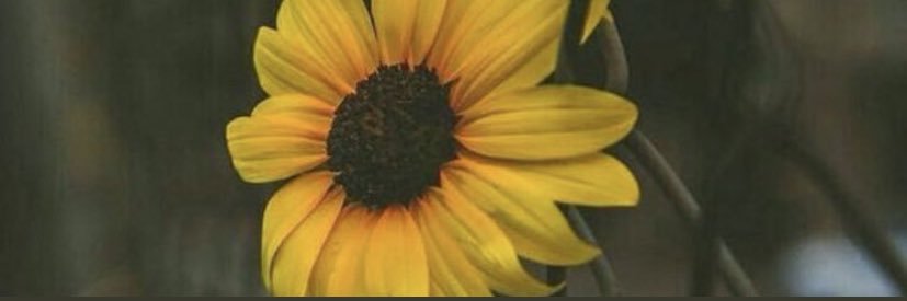 IAmEssence_'s profile banner image