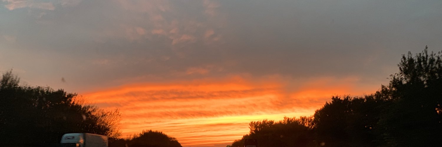 TX95LPZ's profile banner image