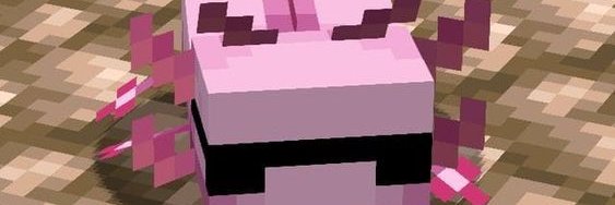 SrMegq's profile banner image