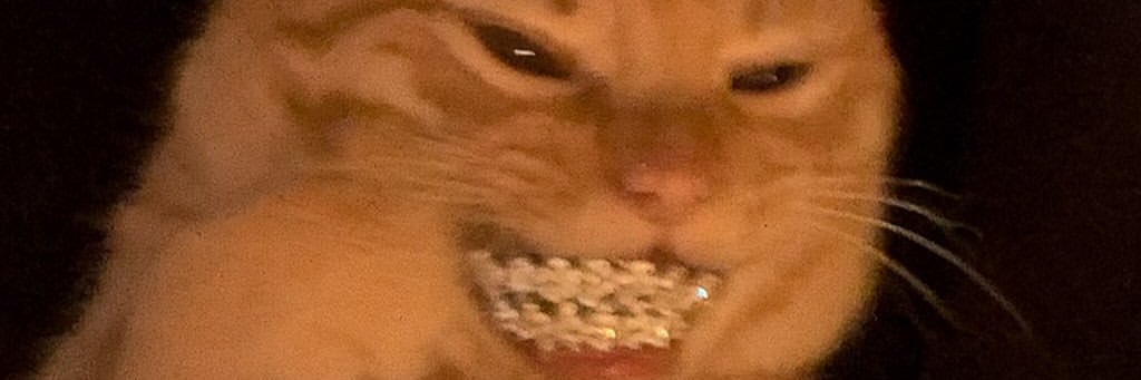 _jnewton's profile banner image