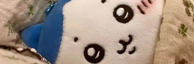 minjilover574's profile banner image