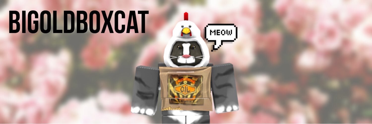 Coolcatdudeman's profile banner image