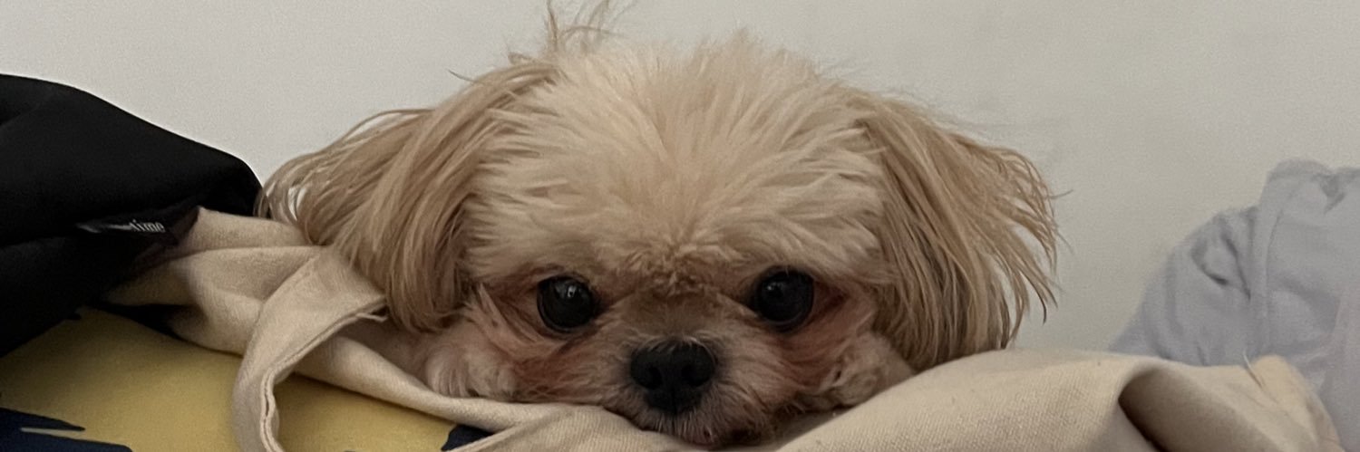 jingsyyy's profile banner image