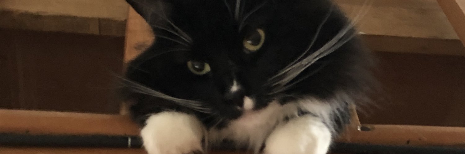 5WilmaZ's profile banner image