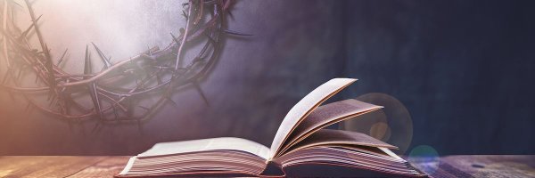 shravaka Profile Banner