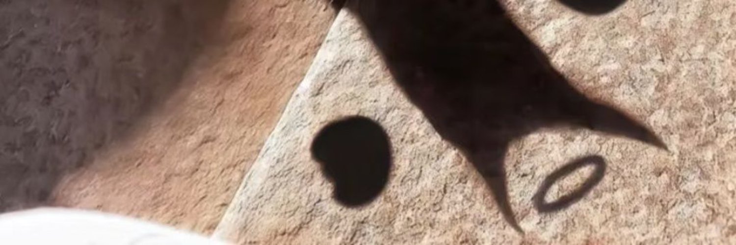 TristeJean's profile banner image